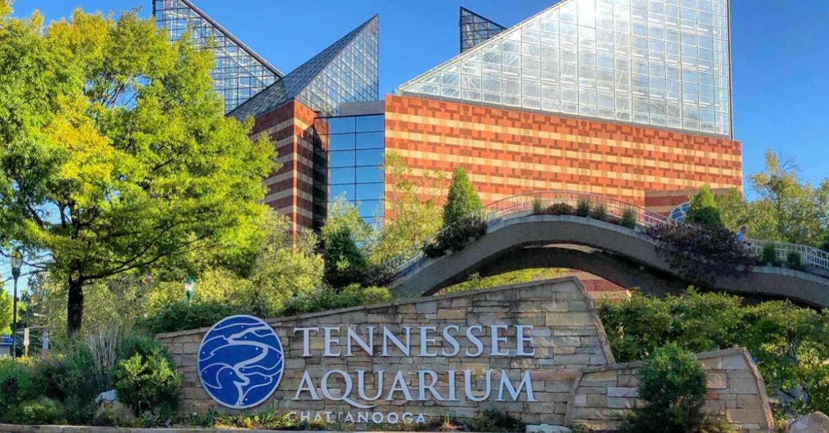 The Deep South USA - Tennessee Aquarium